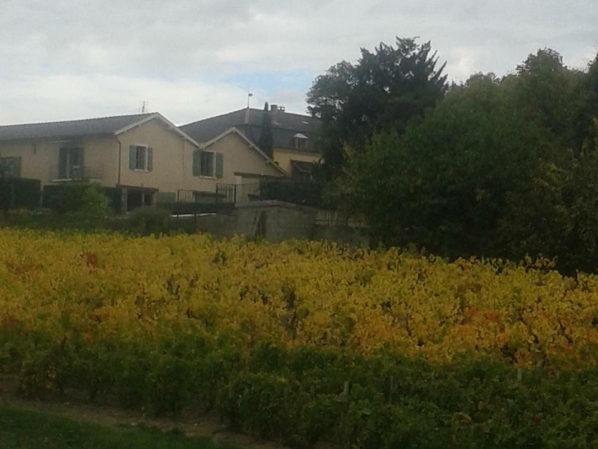 La Maison Des Vignes Charentay 외부 사진