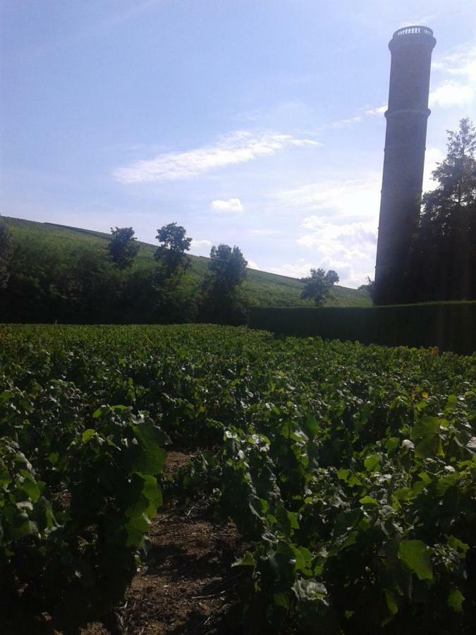 La Maison Des Vignes Charentay 외부 사진