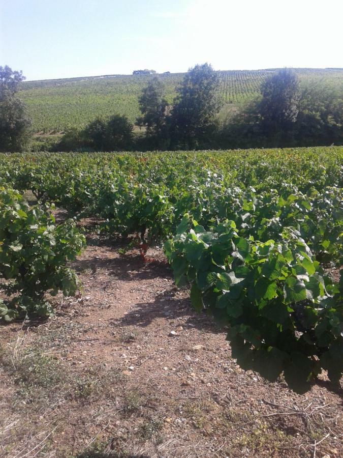 La Maison Des Vignes Charentay 외부 사진