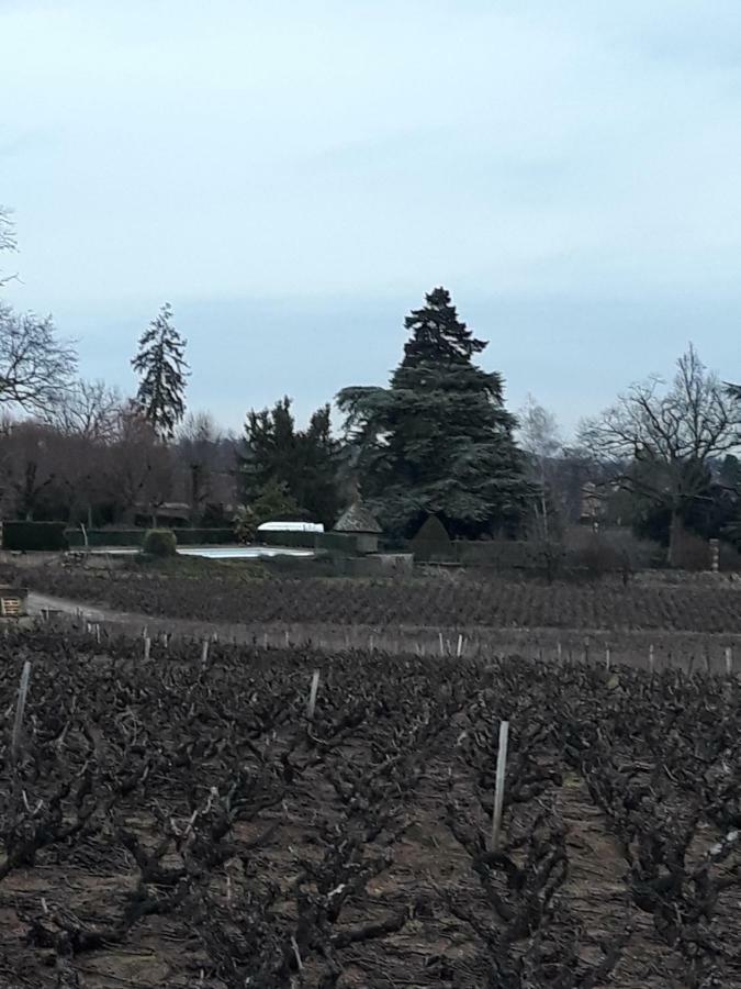 La Maison Des Vignes Charentay 외부 사진