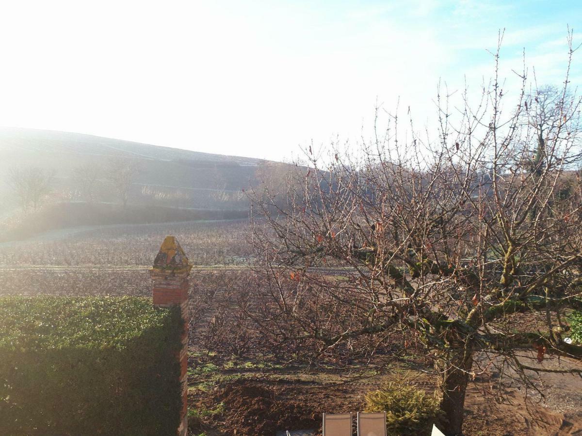 La Maison Des Vignes Charentay 외부 사진