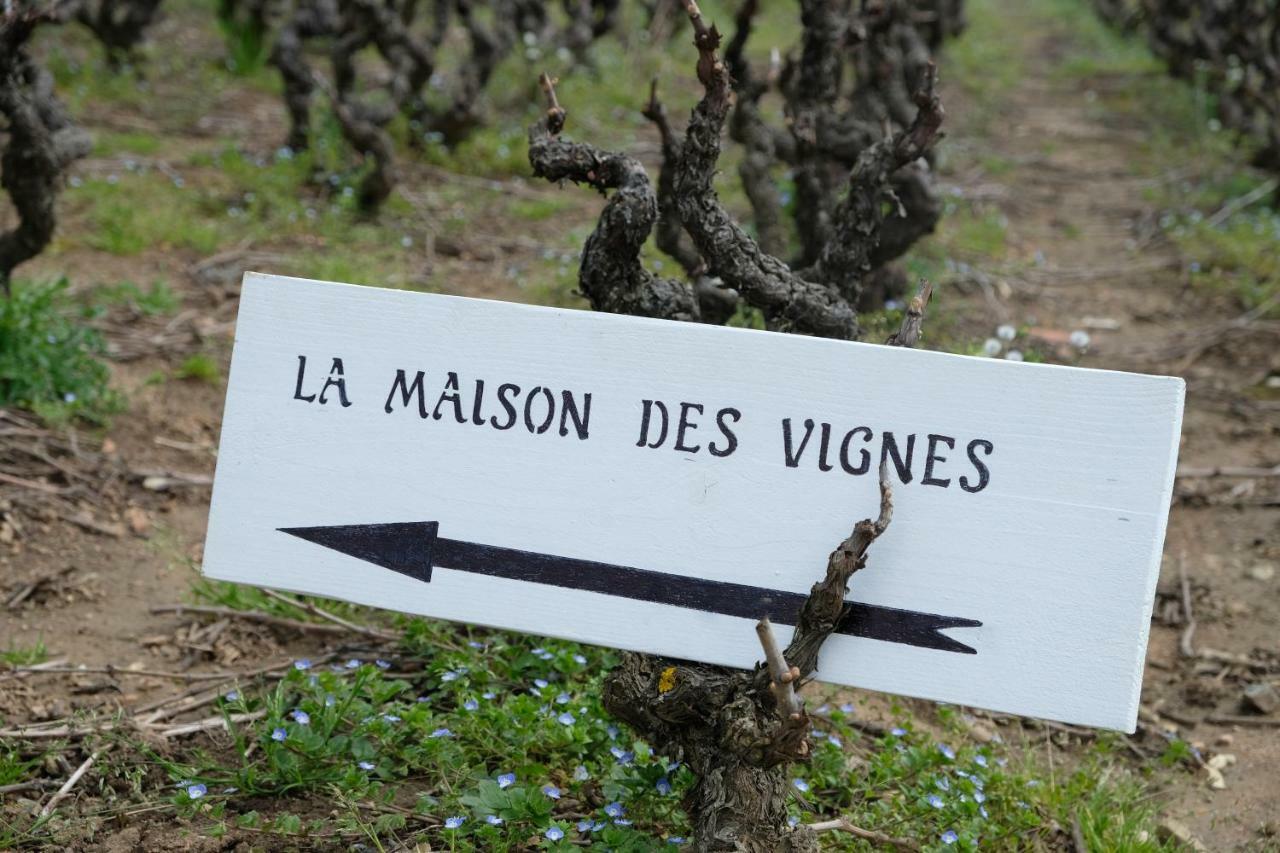 La Maison Des Vignes Charentay 외부 사진